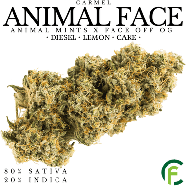 Animal Face