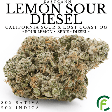 EastCann  Lemon Sour Diesel