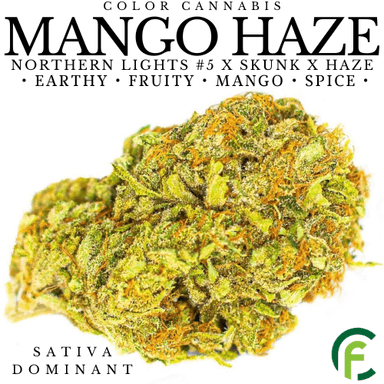 Mango Haze  CBD:THC