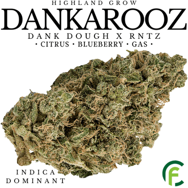 Dankarooz