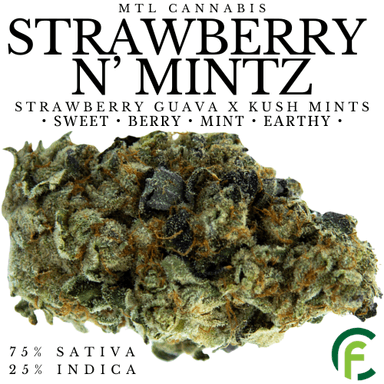 Strawberry N' Mintz